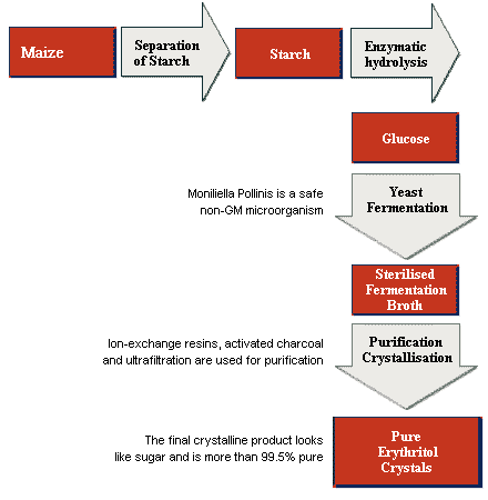 coca cola transformation process